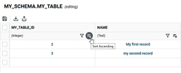 Editing Data in Snowflake from Winterface