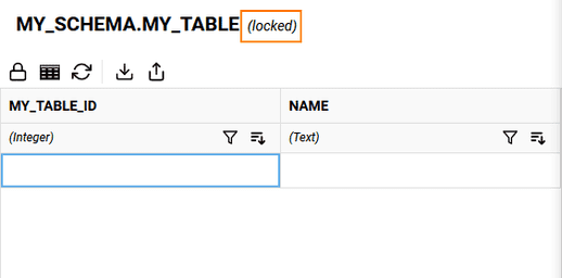 Editing Data in Snowflake from Winterface