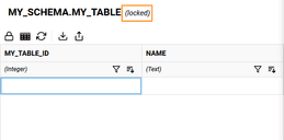 Editing Data in Snowflake from Winterface