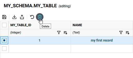 Editing Data in Snowflake from Winterface